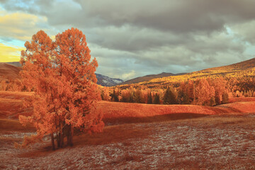 伦敦奥运中国30金得主分别是谁-