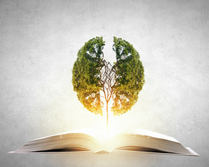 乒乓球运动中如何高抛发球