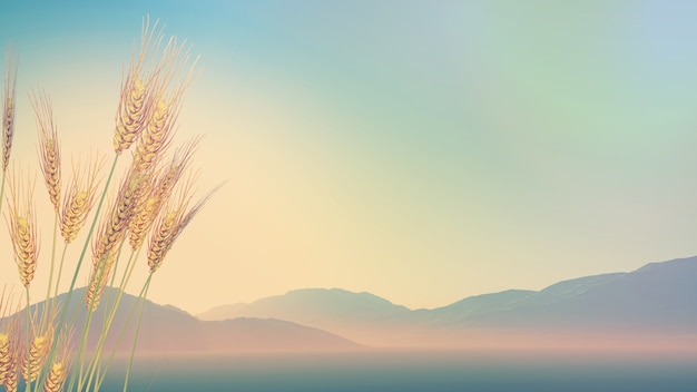 一万左右的摩托车