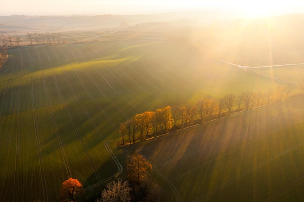 乒乓球运动中如何高抛发球