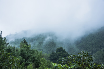 买国产车真的没面子吗？