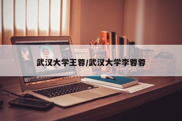 武汉大学王蓉/武汉大学李蓉蓉