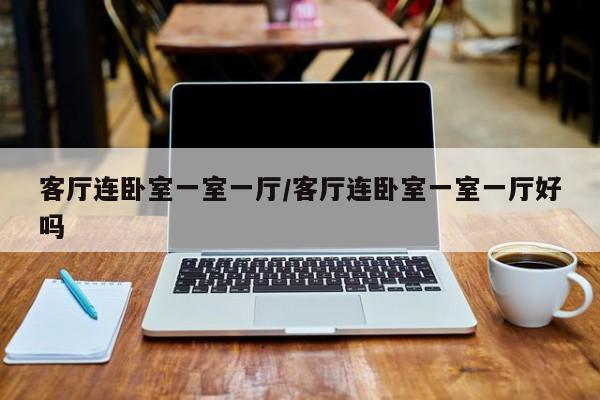 客厅连卧室一室一厅/客厅连卧室一室一厅好吗