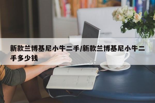 新款兰博基尼小牛二手/新款兰博基尼小牛二手多少钱