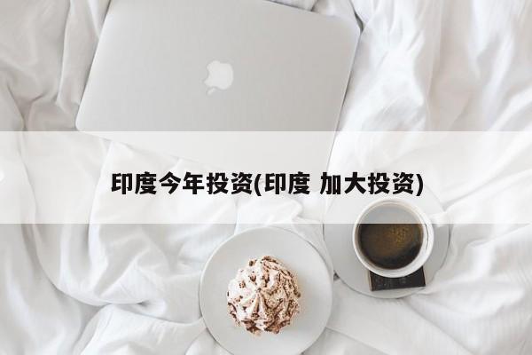 印度今年投资(印度 加大投资)